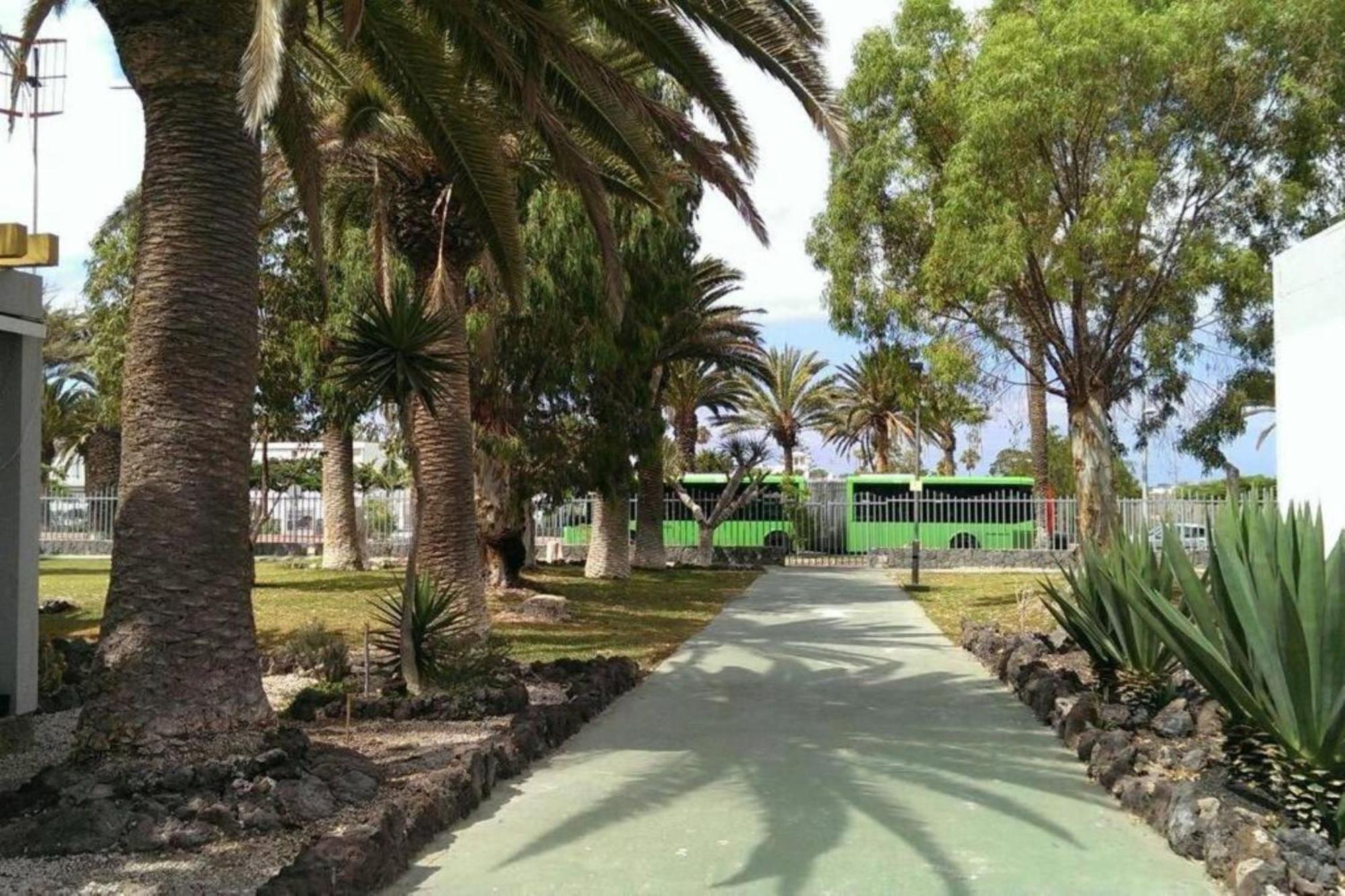 Papagayo Beach Apartments Arona  Exteriör bild